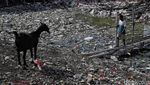 Pesisir Jakarta Dikepung Tumpukan Sampah