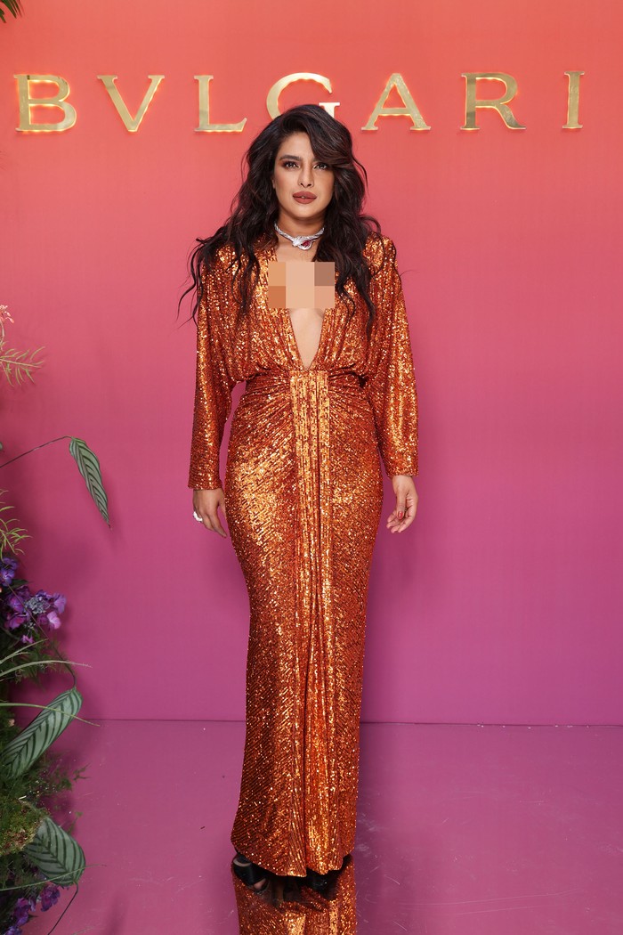 Priyanka Chopra PARIS, FRANCE - JUNE 06: Priyanka Chopra Jonas attends the BVLGARI EDEN THE GARDEN OF WONDERS on June 06, 2022 in Paris, France. (Photo by Marc Piasecki/Getty Images for Bvlgari)