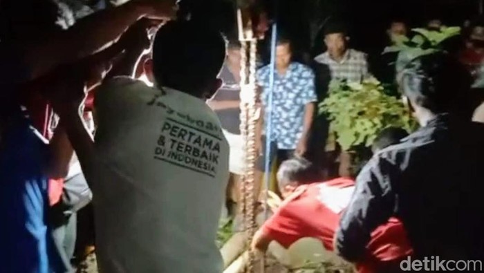 sapi di bondowoso tercebur sumur sedalam 16 meter