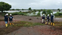 Tak hanya itu, jajaran direksi, manajemen, dan pekerja JSP melanjutkan acara dengan penanaman ratusan pohon bakau (mangrove) dan Ketapang (Terminalia catappa). Keberadaan tanaman ini diharap bisa menjaga kawasan pantai dari abrasi.