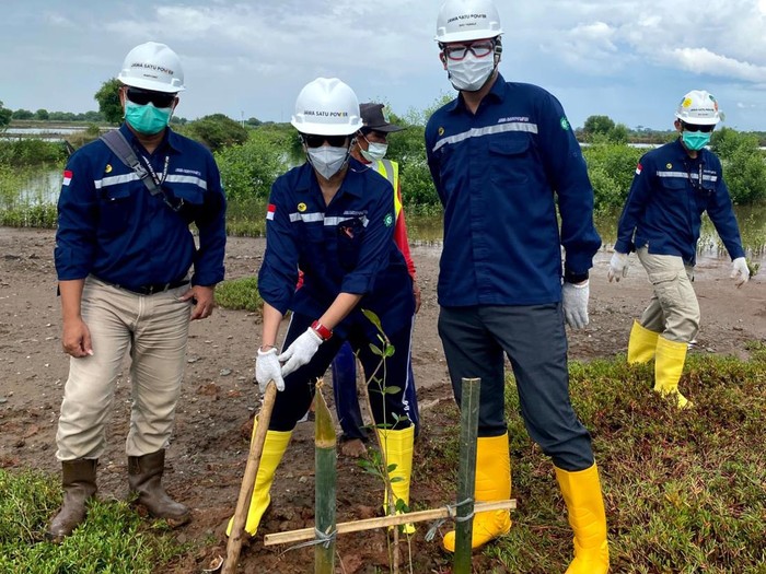 Aksi Tanam Pohon Bakau-Ketapang di Hari Lingkungan Hidup Sedunia PT Jawa Satu Power (JSP) gelar kegiatan dalam rangka memperingati Hari Lingkungan Hidup Sedunia. Salah satunya yakni aksi tanam ratusan pohon bakau dan ketapang
