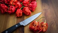 Mengenal Carolina Reaper, Cabai Terpedas Di Dunia Berskala 1,4 Juta SHU