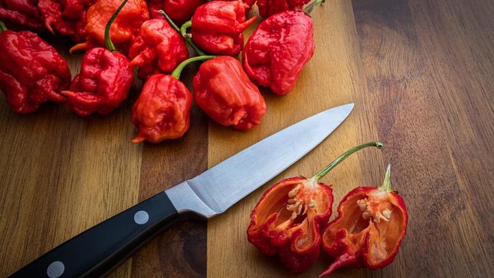 Fakta Carolina Reaper