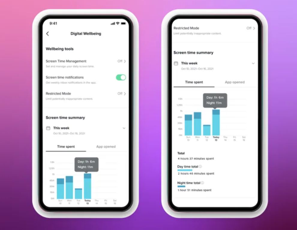 fitur tiktok