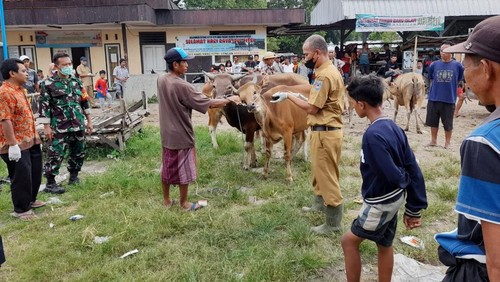 Hingga Juni 2022, kasus PMK di Lombok, NTB, melonjak naik.
