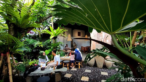Puluhan, bahkan ratusan tanaman mengeliling kafe ini. Suasana khas alam kian terasa dari penggunaan kayu dan batu untuk kursi serta meja di kafe tersebut. Puluhan, bahkan ratusan tanaman mengeliling kafe ini. Suasana khas alam kian terasa dari penggunaan kayu dan batu untuk kursi serta meja di kafe tersebut.