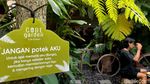 Ini Lho Kafe Bernuansa Hutan di Garut yang Asyik Buat Nongkrong-Foto