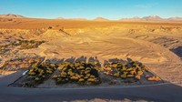 Kebun anggur milik Cecilia tertanam di gurun Atacama, tempat terkering di dunia. Ia berada di ketinggian 3.600 meter (hampir 12.000 kaki) di atas permukaan laut.  
