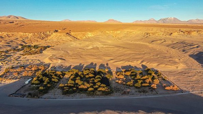 Kebun Anggur Ini Ada di Tempat Terkering Dunia TOPSHOT - Aerial view of the Chajnantor vineyard, owned by Samuel Varas, in the Zapar sector of San Pedro de Atacama, Chile, on May 17, 2022. - The Ayllu cooperative produces wine with grapes grown at almost 3,000 meters of altitude, with negative temperatures at night and exorbitant radiation during the day, in the arid soils of the Atacama desert. (Photo by MARTIN BERNETTI / AFP) (Photo by MARTIN BERNETTI/AFP via Getty Images)
