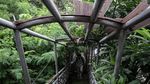 Kondisi JPO di Kota Tangerang Ini Bak Hutan Belantara, Kok Bisa?