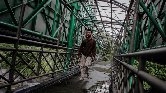 Miris, Kondisi JPO di Tangerang Ini Bak Hutan Belantara Pejalan kaki berjalan di jembatan penyebrangan orang (JPO) yang tidak terawat di Jalan Jendral Sudirman, Kota Tangerang, Banten, Rabu (8/6/2022). Kondisi jembatan penyebrangan yang tak terawat tersebut mengurangi kenyamanan para pejalan kaki yang menggunakannya terlebih saat hujan. ANTARA FOTO/Fauzan/rwa.