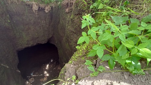Penampakan mulut goa yang ditemukan di lahan milik I Wayan Puja di Banjar Dalem, Desa Pejaten, Kecamatan Kediri, Kabupatan Tabanan, Bali, Kamis (9/6/2022).