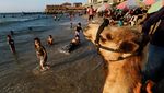 Potret Warga Gaza Menikmati Pantai Bersih yang Langka