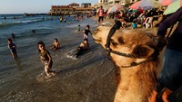 Selama bertahun-tahun, limbah yang tidak diolah telah mengalir langsung ke perairan Gaza, menyebabkan bencana lingkungan.