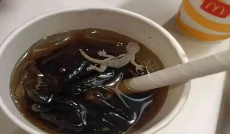 Pria temukan bangkai cicak di minuman