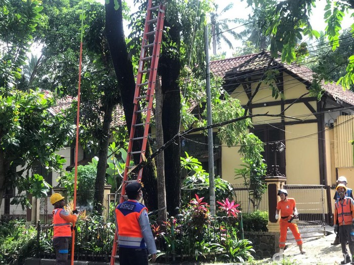 Proses mitigasi cuaca ekstrem dengan cara pemangkasan pohon tua di ruas Jalan Bhayangkara, Kota Sukabumi