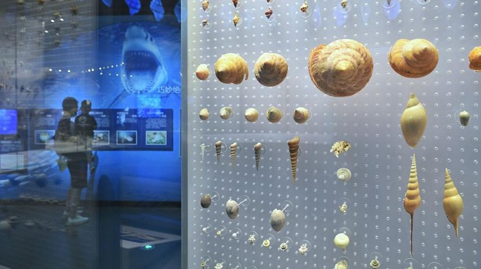 TIANJIN, CHINA - JUNE 08: People visit National Maritime Museum of China on June 8, 2022 in Tianjin, China. World Oceans Day falls on June 8 every year. (Photo by Tong Yu/China News Service via Getty Images