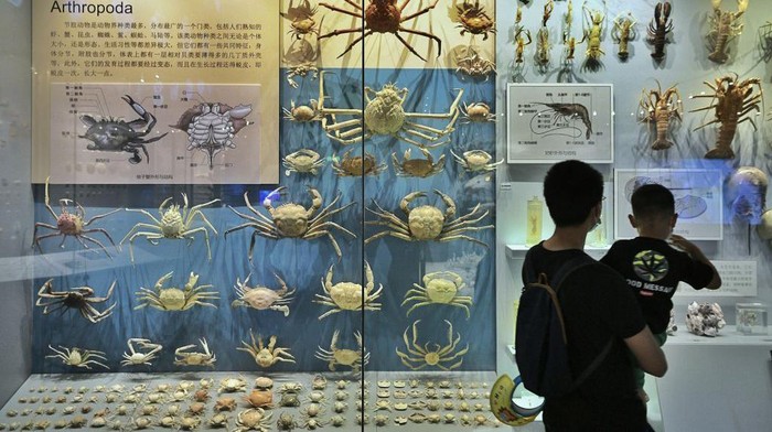 TIANJIN, CHINA - JUNE 08: People visit National Maritime Museum of China on June 8, 2022 in Tianjin, China. World Oceans Day falls on June 8 every year. (Photo by Tong Yu/China News Service via Getty Images