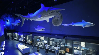 Serunya Bertualang Dunia Bawah Laut di Museum Maritim China