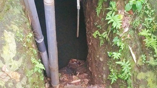 Terowongan saluran irigasi tua yang masih bertahan sampai saat ini, di Desa Tukadaya, Kecamatan Melaya, Kabupaten Jembrana, Bali, Kamis (9/6/2022).