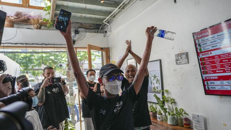 Thailand Legalkan Ganja, tapi Tidak Anjurkan Rokok Thailand Legalkan Ganja, tapi Tidak Anjurkan Rokok