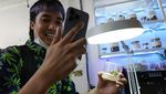 Thailand Legalkan Ganja, Warga Sambut Suka Cita