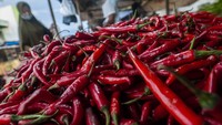 Selain petani, dampak cuaca buruk juga dirasakan oleh masyarakat. Pasalnya, beberapa bahan makanan mengalami kenaikan harga, salah satunya cabai. (Bagus Khoirunas/Antara Foto).  