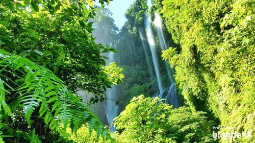Air Terjun Gerombong/Sekumpul di Desa Lemukih, Kecamatan Sawan, Kabupaten Buleleng.