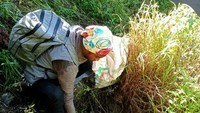 Program clean up dilakukan pada awal bulan Juni 2022 di seluruh jalur pendakian Gunung Rinjani, termasuk di area camping Danau Segara Anak.