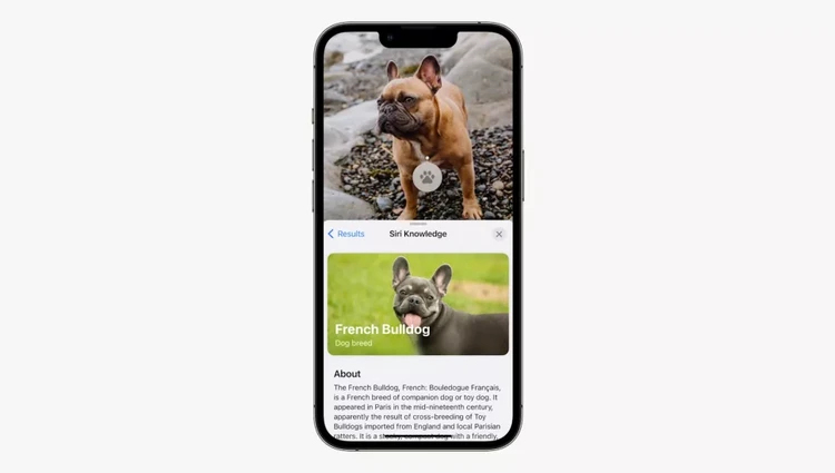 Fitur iOS 16 dan macOS 16 yang meniru Android