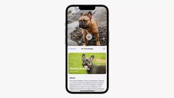 Live Text dan Visual Look Up merupakan jawaban Apple terhadap fitur Google Lens yang ada di Android. Fitur ini memungkinkan iPhone untuk mengenali teks dan objek lainnya yang ada di foto. Tapi di iOS 16 Apple meningkatkan kemampuan fitur ini agar bisa memindahkan objek dari sebuah foto ke aplikasi lain. Foto: Apple
