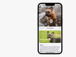 10 Inovasi Baru Apple yang Dicomot dari Android