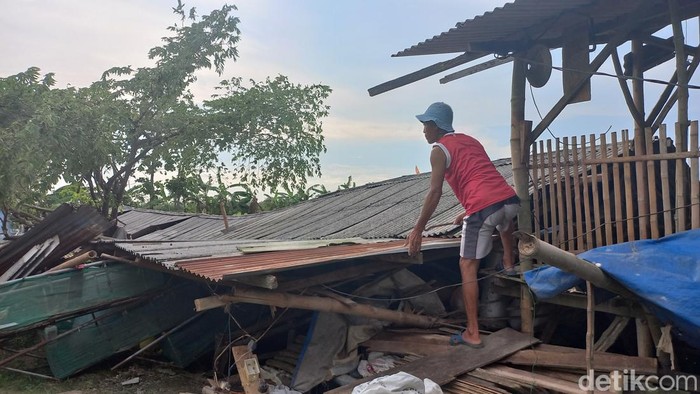 kandang ayam ambruk di lamongan