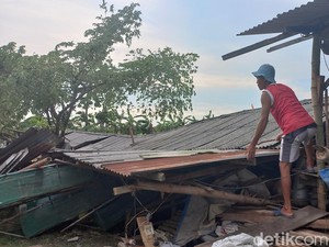 Kandang Ambruk Terhempas Hujan Angin, Peternak Jual Rugi Ayamnya