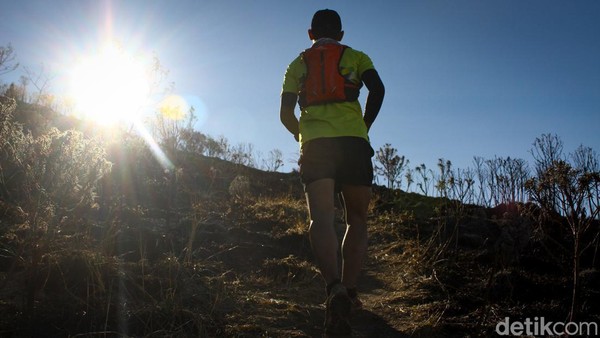 Tetapi jika menjajal dengan lari lintas alam atau trail running, waktu tempuh ke puncak Merbabu bisa dipangkas hingga 4 jam. Tetapi ini tergantung kondisi fisik pelari. 