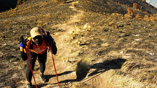 Jalur Suwanting tidak direkomendasikan untuk trail runner pemula karena kemiringan jalurnya yang terjal. 