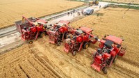 Untuk memanen ladang gandung berskala besar, sejumlah alat berat pun diturunkan.