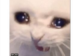 Meme Kemarahan dan Kesedihan Pengguna iPhone 7 Tak Dapat iOS 16