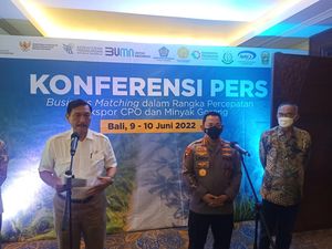 Jeng-jeng! Luhut Mau Hapus Minyak Goreng Curah