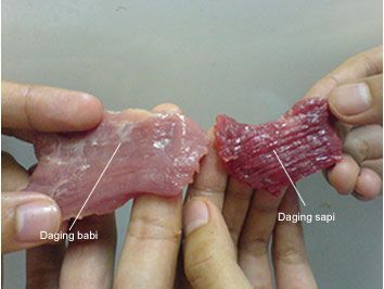 Perbedaan daging babi dan daging sapi