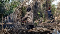 Dari tahun 2001 hingga 2021, Nigeria sendiri sudah kehilangan 1,14 juta hektare hutan, yang setara dengan 11 persen penurunan luas hutan sejak 2000. Menurut Global Forest Watch, platform penyedia data dan pemantau hutan, penurunan itu juga sebanding dengan 587 juta ton emisi karbon.