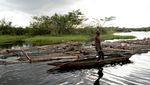 Potret Ironi Hutan Nigeria, Jumlah Penebang Melebihi Jumlah Pohon