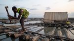 Potret Ironi Hutan Nigeria, Jumlah Penebang Melebihi Jumlah Pohon