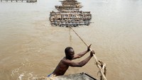 Pohon yang ditebang diambil kayunya, kemudian membuka lahan pertanian atau memenuhi kebutuhan energi bagi populasi yang terus bertambah, mengancam keberlangsungan hutan alami di Nigeria.