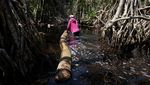 Potret Ironi Hutan Nigeria, Jumlah Penebang Melebihi Jumlah Pohon