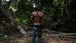 Potret Ironi Hutan Nigeria, Jumlah Penebang Melebihi Jumlah Pohon