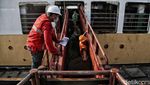 Ratusan Sapi untuk Idul Adha Mendarat di Priok