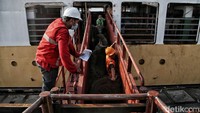 Menurutnya, menjelang Idul Adha 1443 H, jumlah muatan hewan ternak sapi pada KM Camara Nusantara, kapal ternak yang dioperasikan oleh Pelni akan terus meningkat.