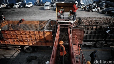 Ratusan Sapi untuk Idul Adha Mendarat di Priok