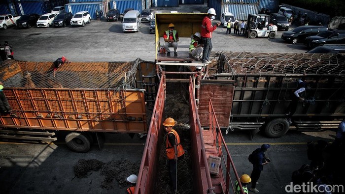 Ratusan Sapi untuk Idul Adha Mendarat di Priok Sebanyak 550 ekor sapi dari NTT tiba di Pelabuhan Tanjung Priok untuk didistribusikan ke wilayah Jabodetabek hari ini untuk kebutuhan Idul Adha.